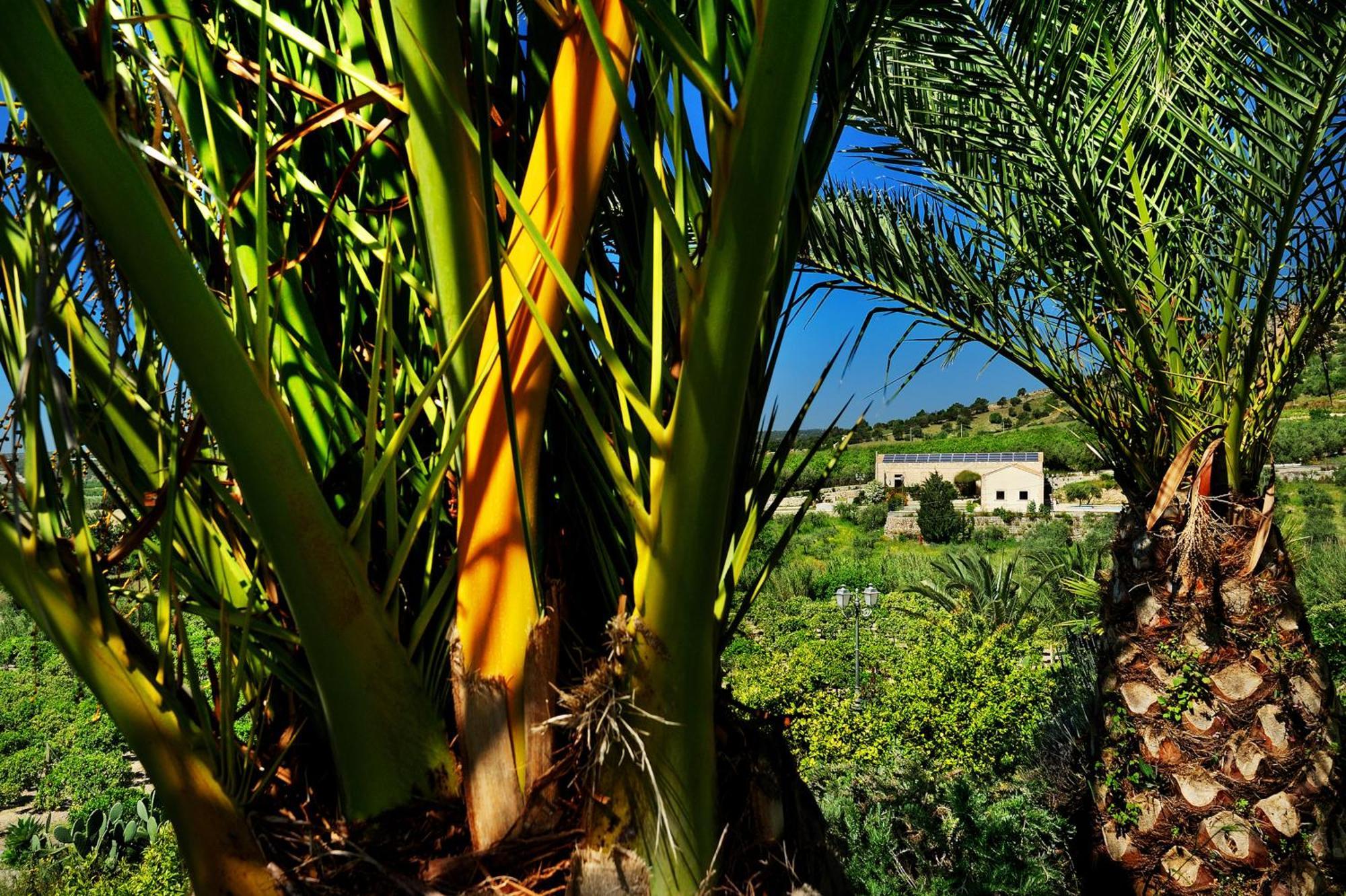 Kallikoros Country Resort&Spa Noto Exterior foto