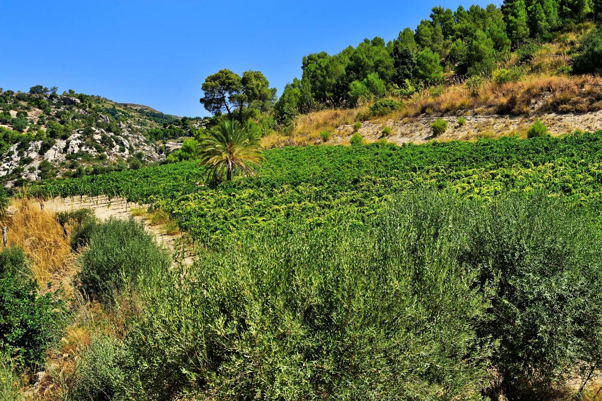 Kallikoros Country Resort&Spa Noto Exterior foto