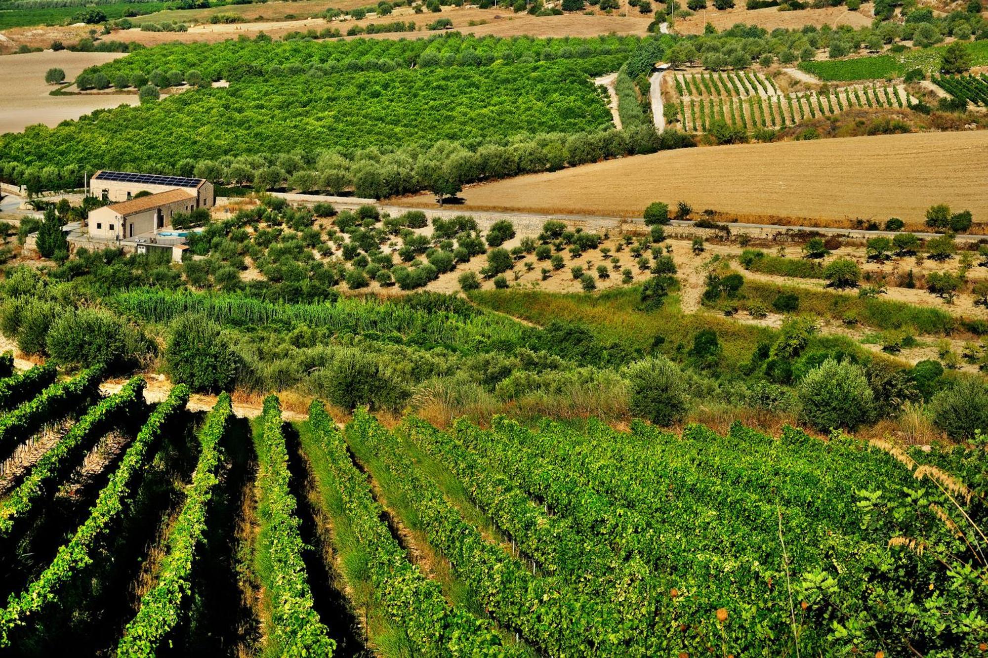 Kallikoros Country Resort&Spa Noto Exterior foto