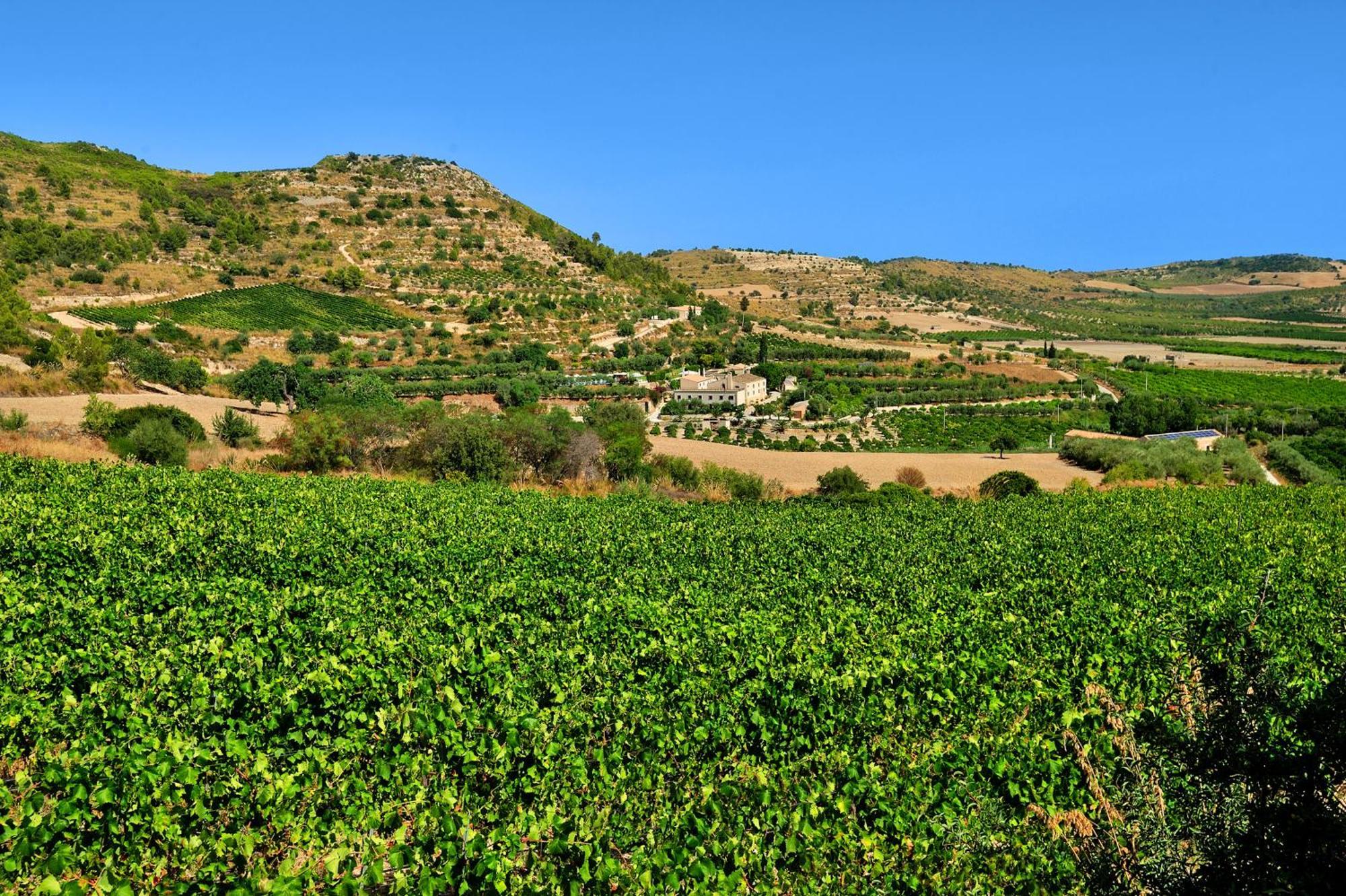 Kallikoros Country Resort&Spa Noto Exterior foto