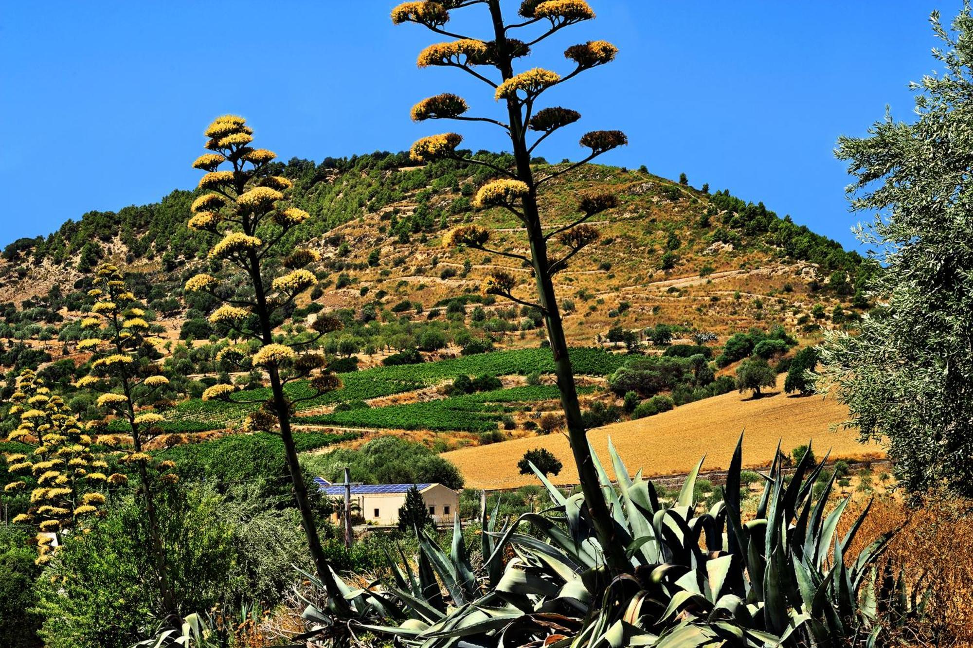 Kallikoros Country Resort&Spa Noto Exterior foto