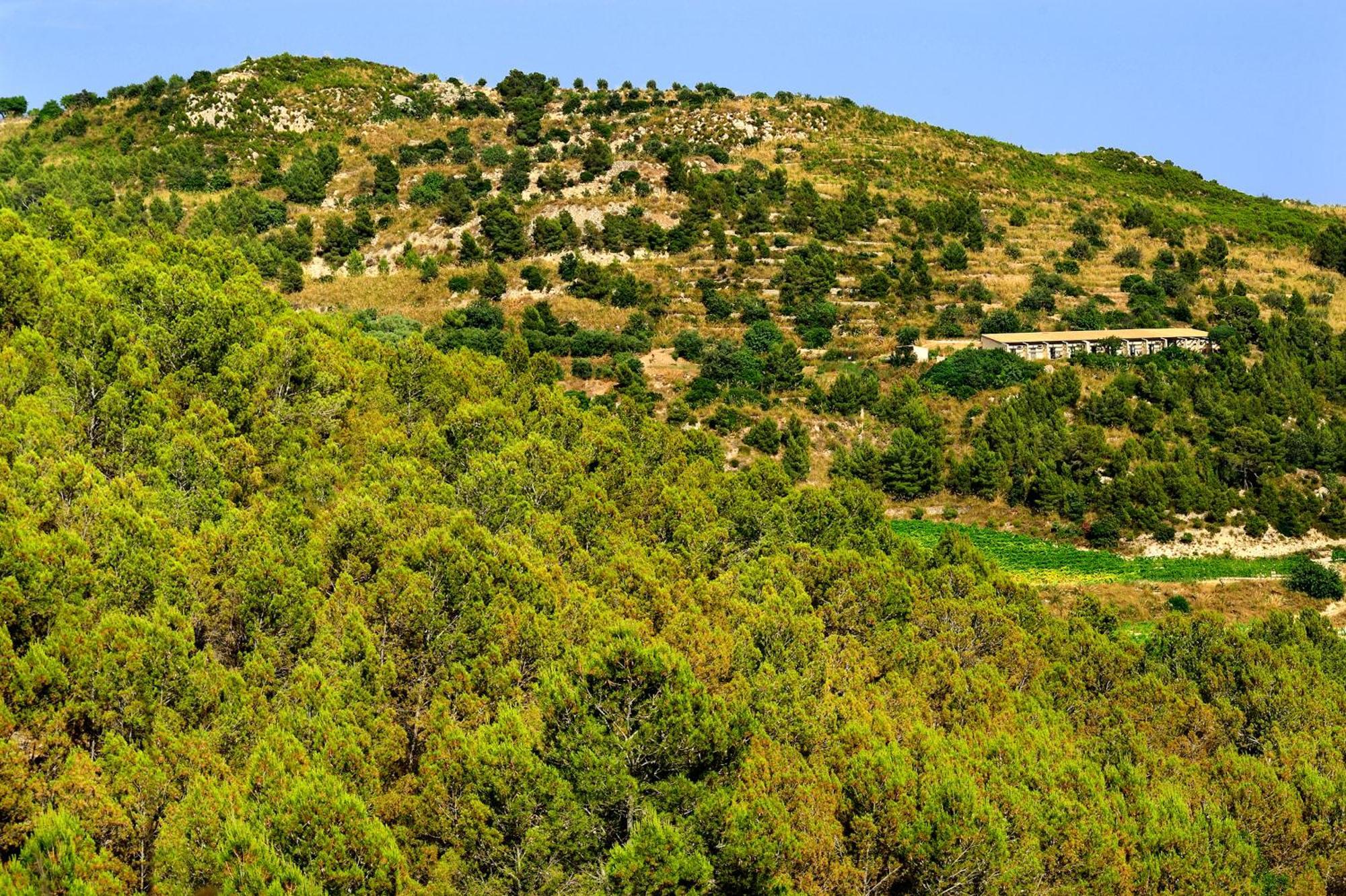 Kallikoros Country Resort&Spa Noto Exterior foto