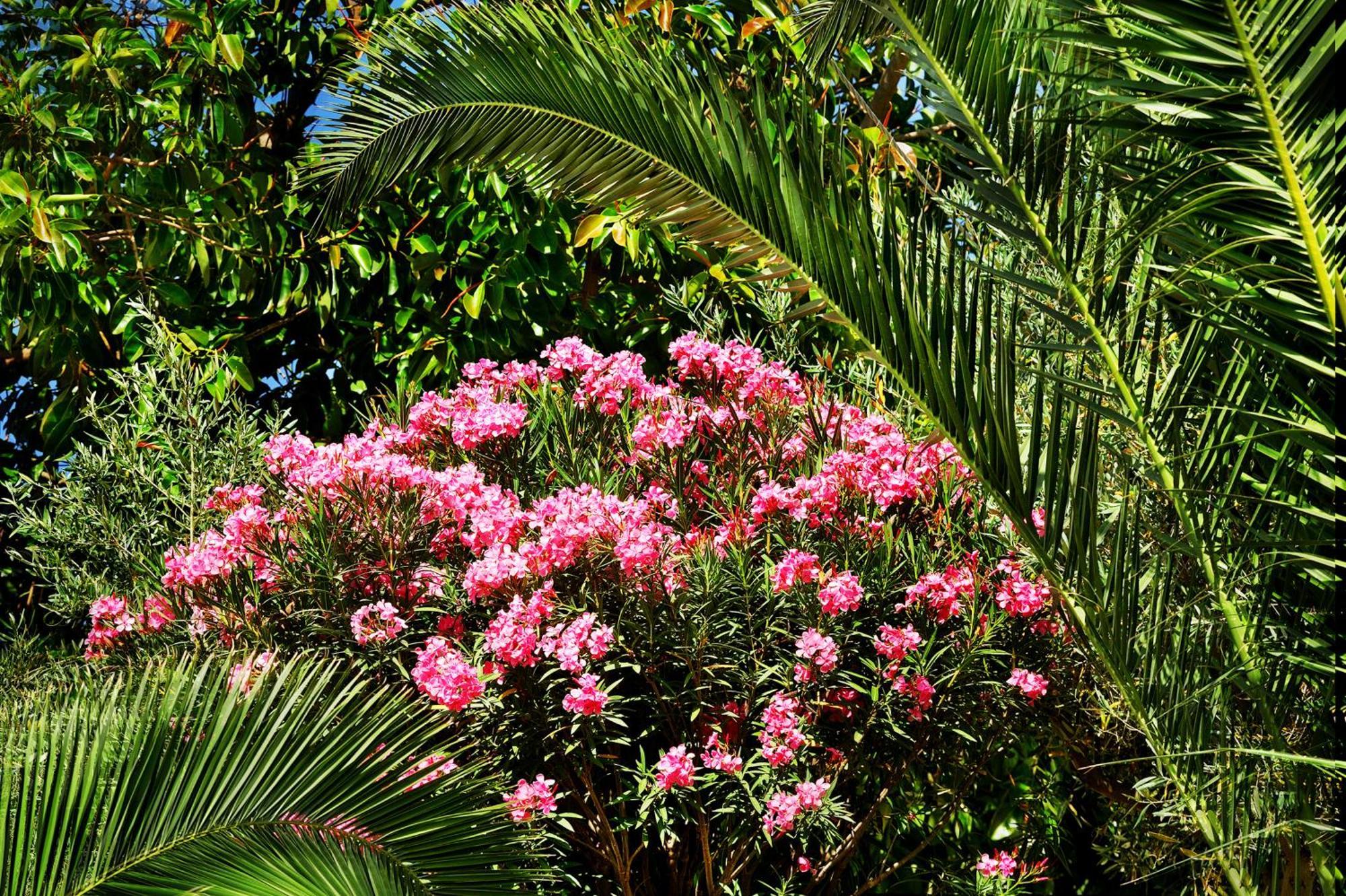 Kallikoros Country Resort&Spa Noto Exterior foto