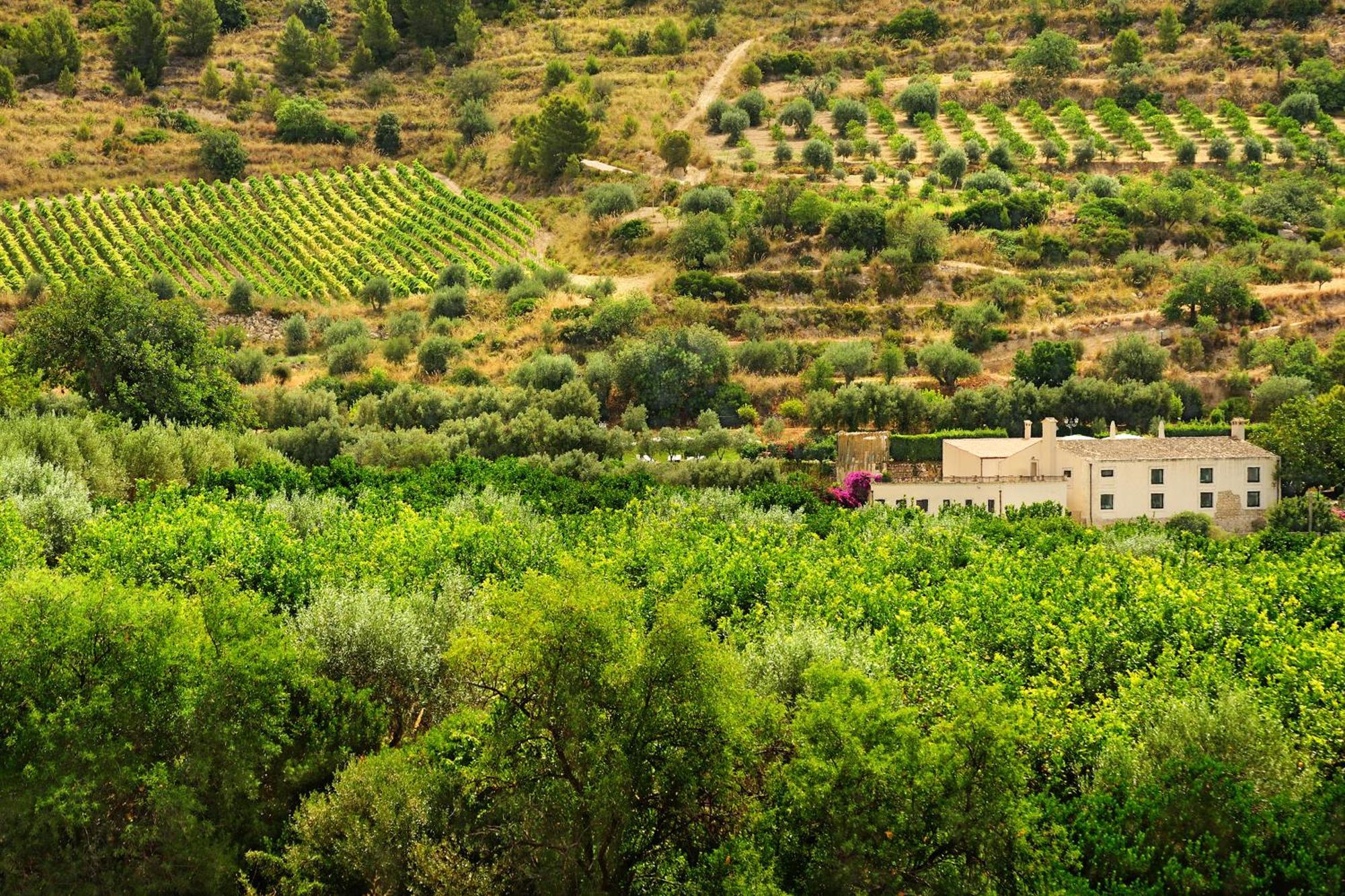 Kallikoros Country Resort&Spa Noto Exterior foto