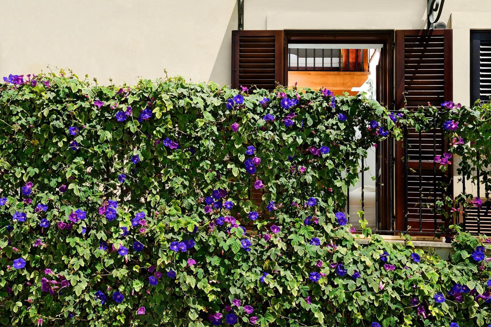 Kallikoros Country Resort&Spa Noto Exterior foto
