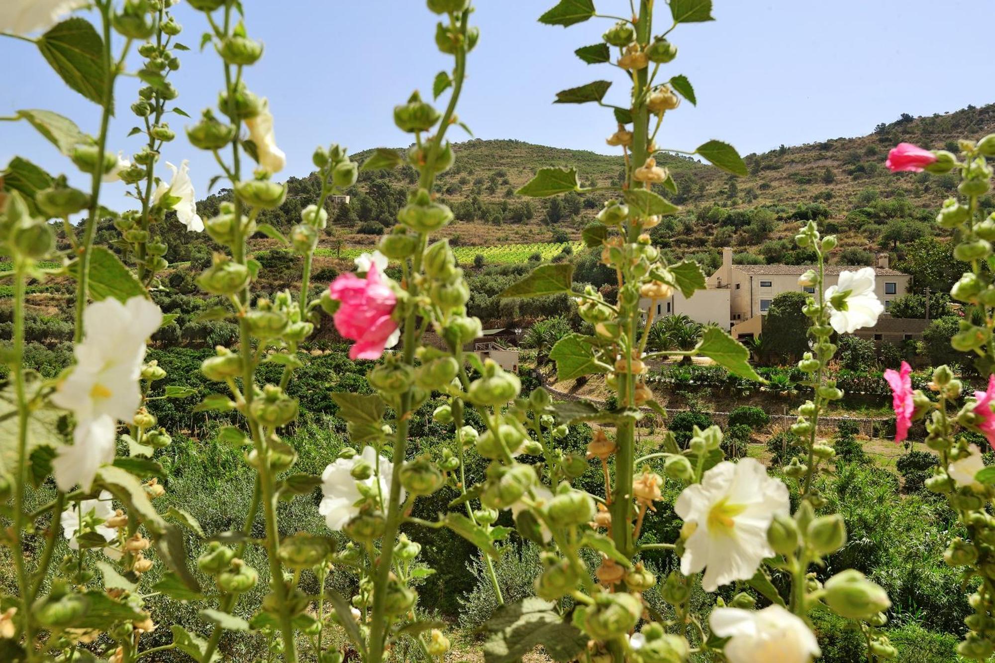 Kallikoros Country Resort&Spa Noto Exterior foto