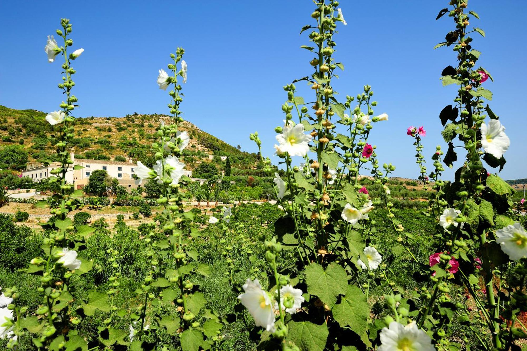 Kallikoros Country Resort&Spa Noto Exterior foto