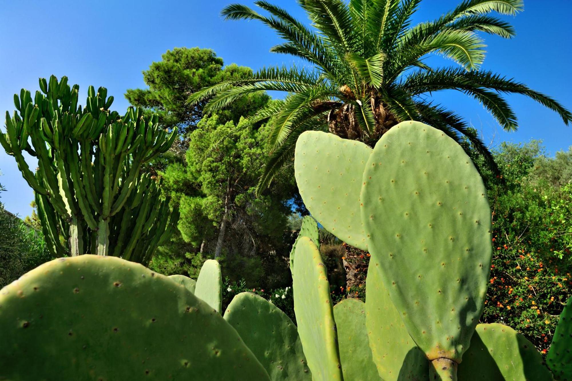 Kallikoros Country Resort&Spa Noto Exterior foto